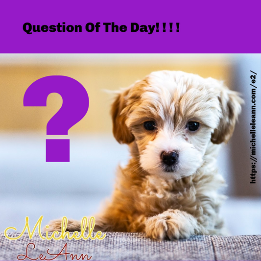 Questions, Questions & More Questions!