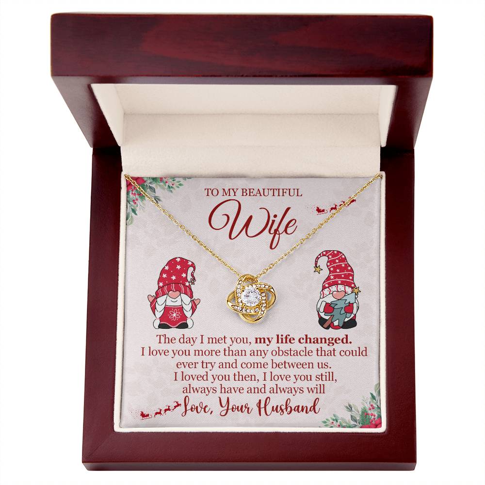 To My Wife - The Day I Met You - Love Knot