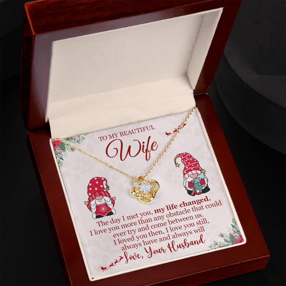 To My Wife - The Day I Met You - Love Knot