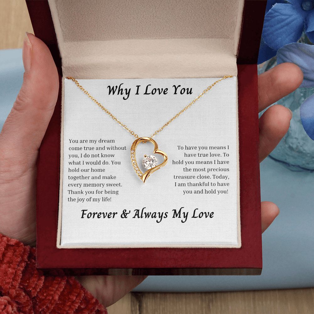 Why I Love You 006 Forever Love Necklace