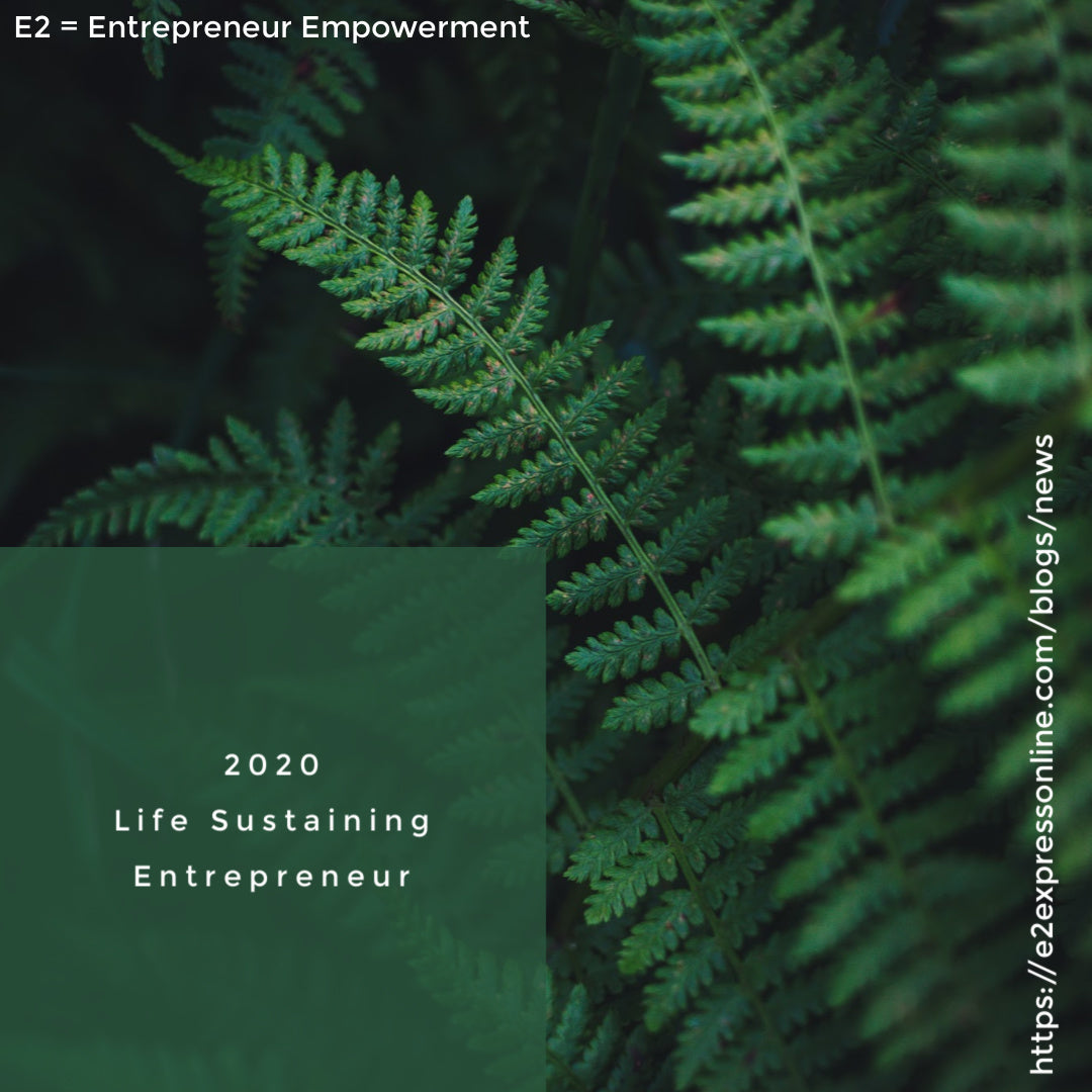2020 Life Sustaining Entrepreneurs