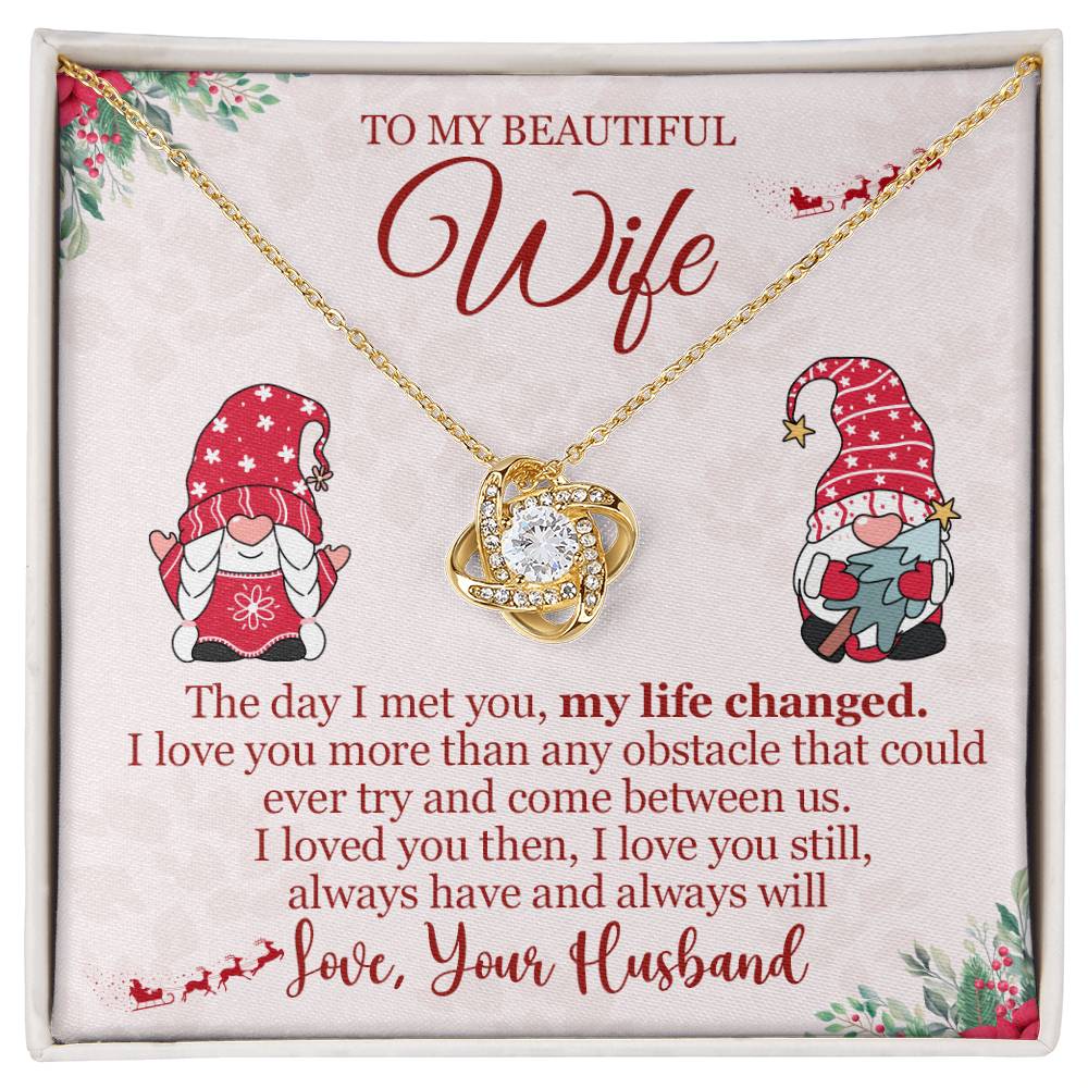 To My Wife - The Day I Met You - Love Knot