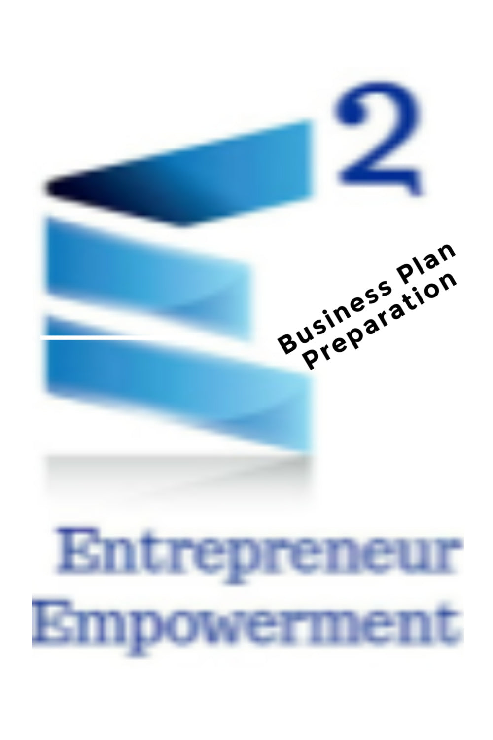 E2 Business Plan Preparation